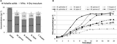 Uncovering the Potential of Termite Gut Microbiome for Lignocellulose Bioconversion in Anaerobic Batch Bioreactors